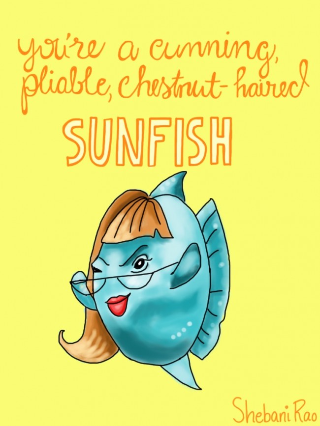sunfish-signed-e1452635084549.jpg