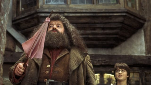 harry potter