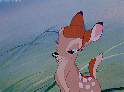 Fünf Fragen, die wir noch an „Bambi“ habenFünf Fragen, die wir noch an „Bambi“ haben  