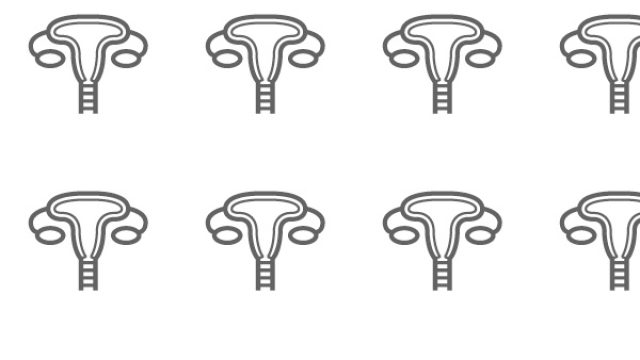 uterus