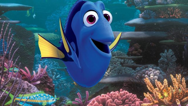 dory