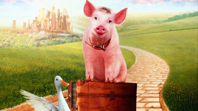 piginthecity