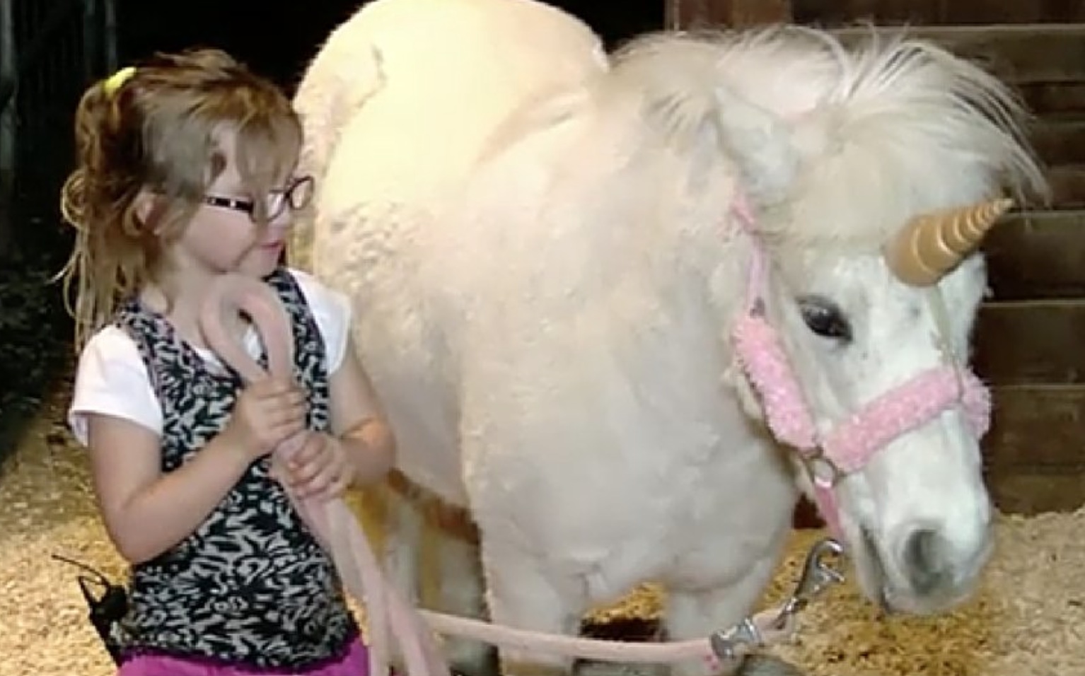 This adorable real-life unicorn escaped and ran free and it was glorious -  HelloGigglesHelloGiggles