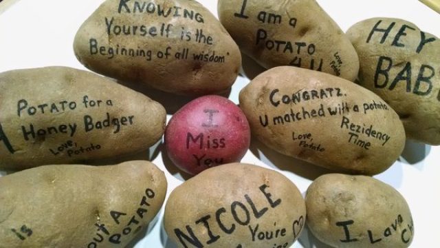 potato