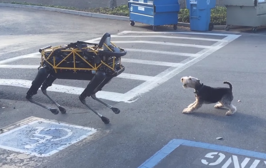 This Dog Met A Dog Robot And Had Absolutely No Chill About ItHelloGiggles