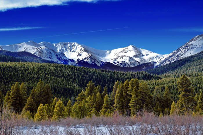shutterstock_2902095-e1457029553815.jpg