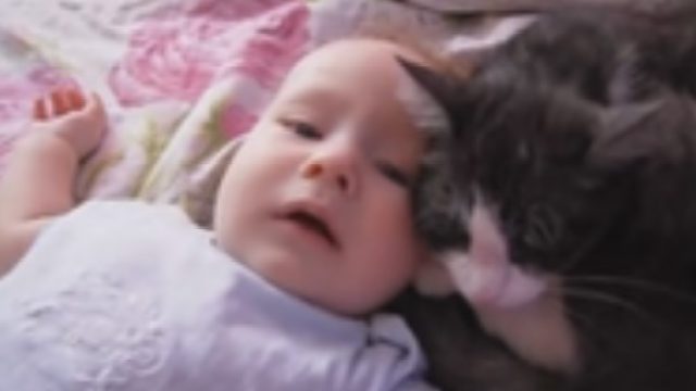 catmombaby