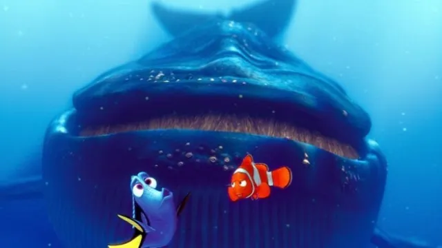 nemowhale
