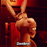 donkey-gif-.gif