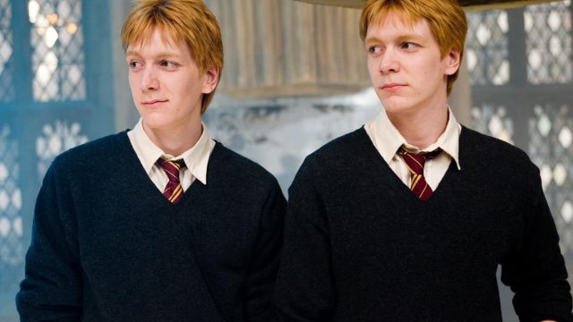 Picture of Fred and George Weasley