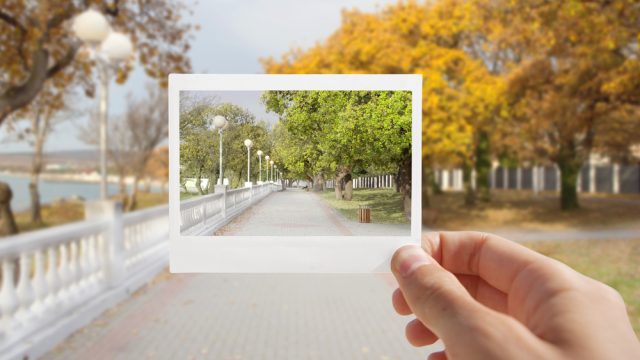 shutterstock_120505180