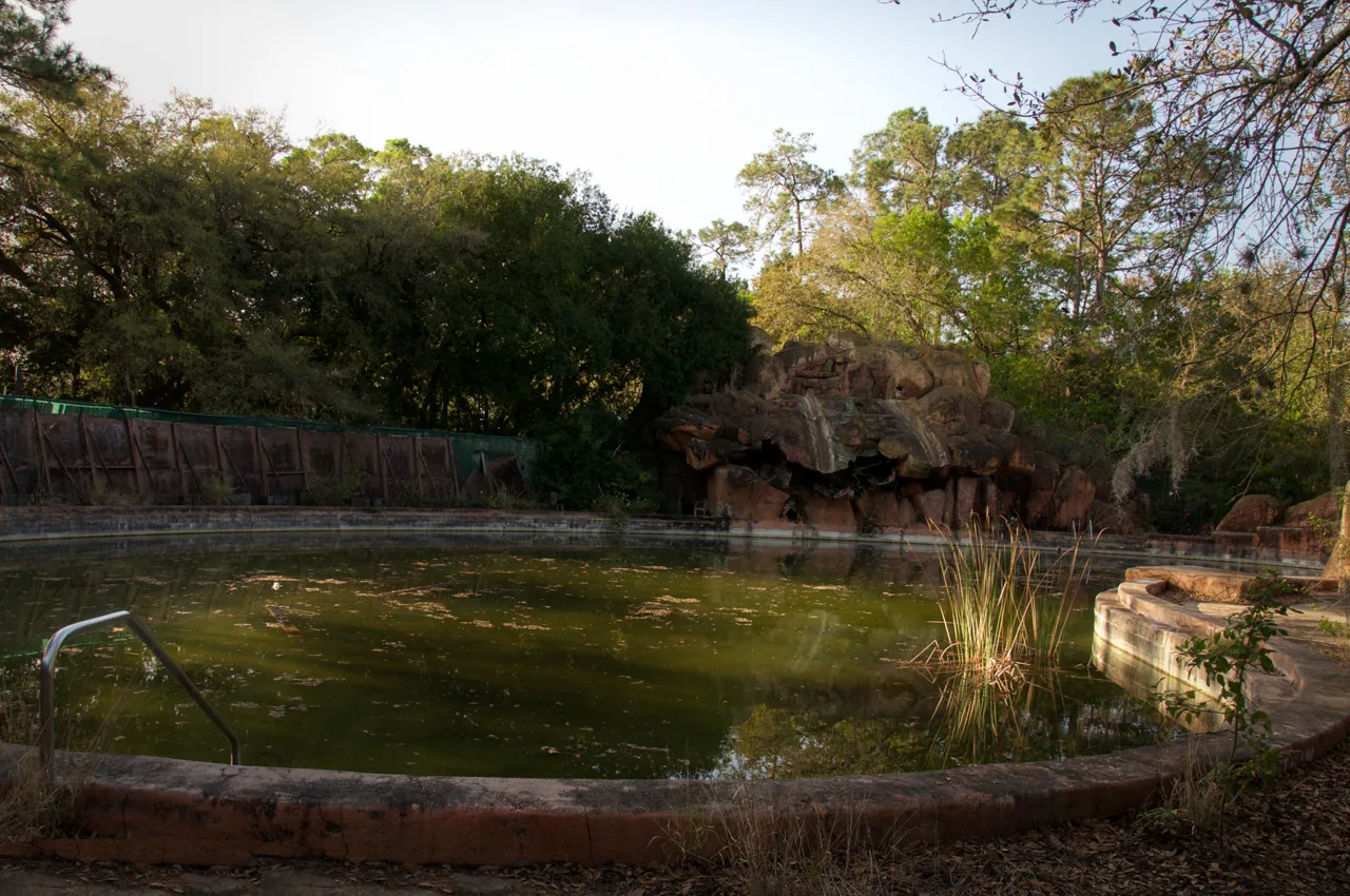 Photos of an abandoned Disney water park will haunt your dreams