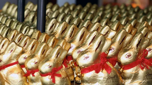 chocolate bunnies