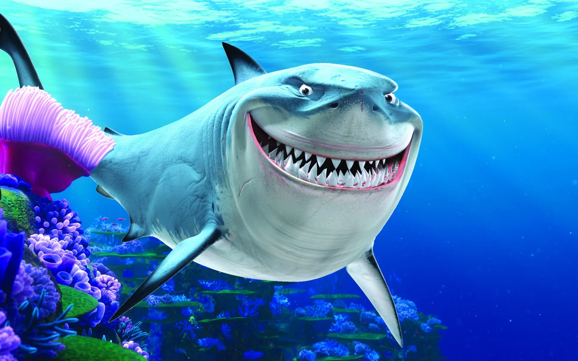 This smiling shark looks like a real-life Finding Nemo character -  HelloGigglesHelloGiggles