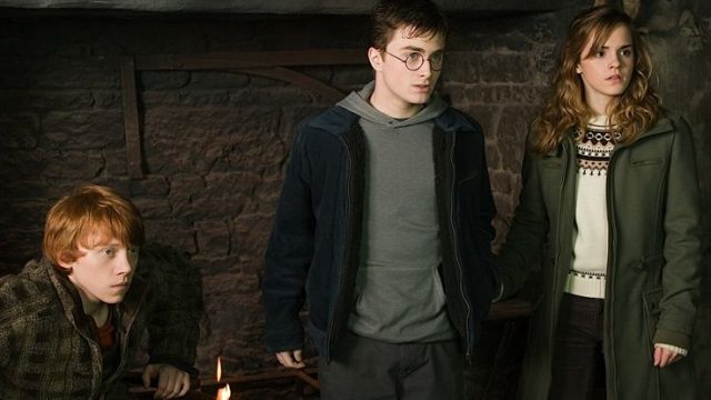 harry ron hermione harry potter