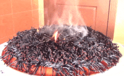 Warm-cake GIFs - Get the best GIF on GIPHY