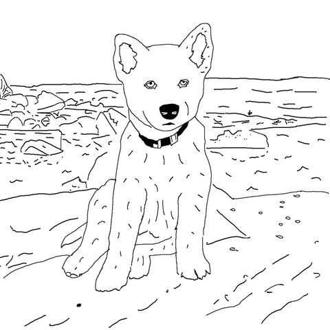 personalized_pet_coloring_book_large.jpg