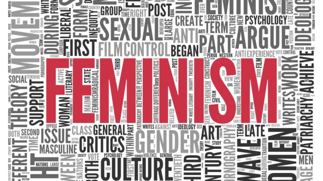 feminist bro twitter