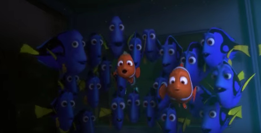 picture-of-finding-dory-family-photo.jpg