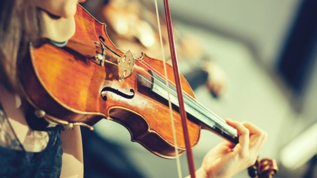 violin