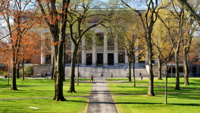 harvard