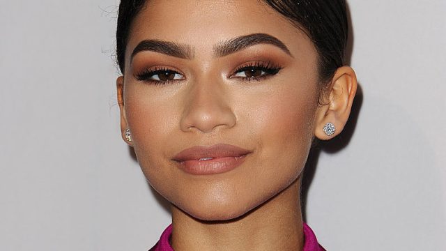 The Humane Society Of The United States' To The Rescue Gala - Arrivals