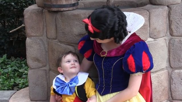 SnowWhite