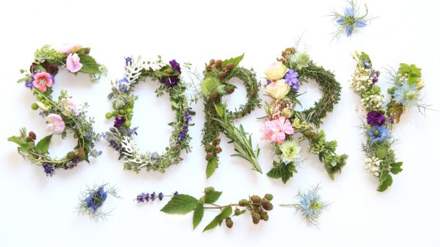 Close-up of flowers forming word Sorry on white background