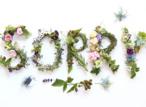 Close-up of flowers forming word Sorry on white background