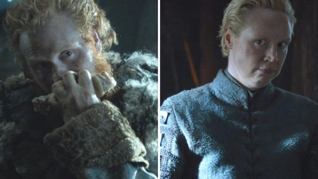 tormund brienne