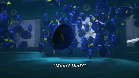 finding-dory2.gif