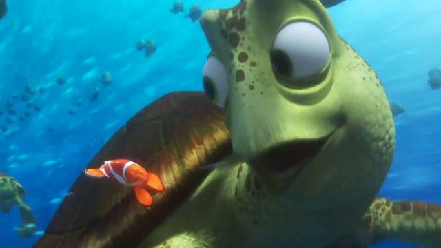 Finding Dory Crush