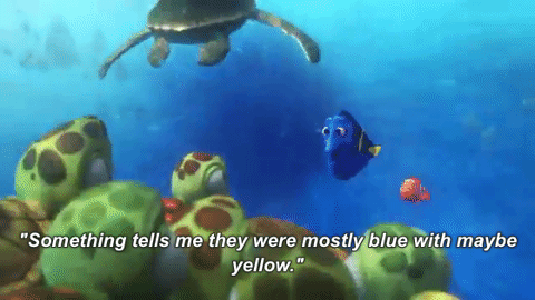finding-dory31.gif