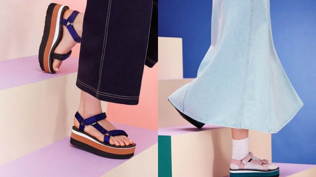 teva-collage