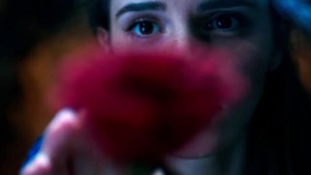 emma watson beauty belle