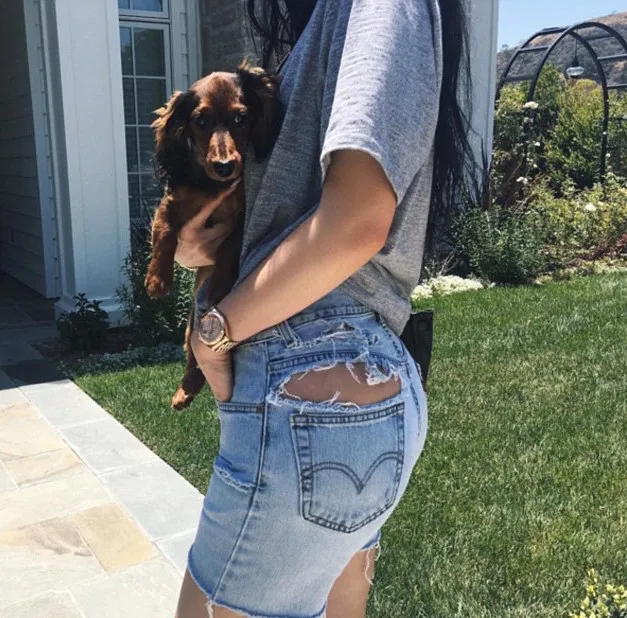 Kylie jenner shop jean shorts