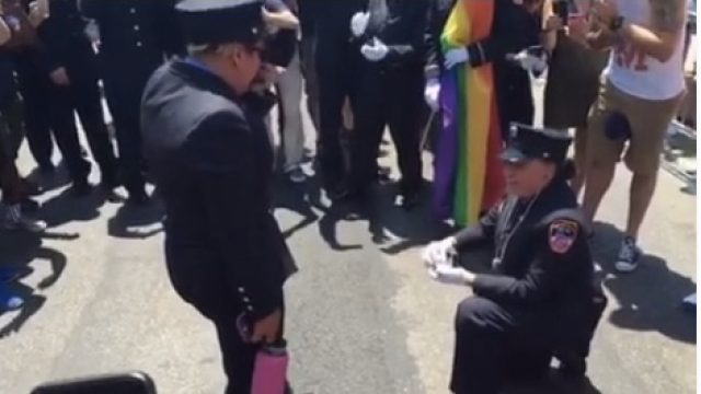 proposal