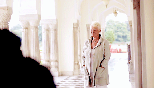 judi.gif