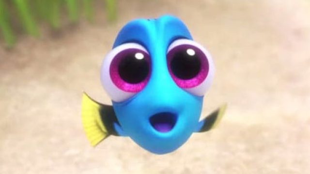 baby dory