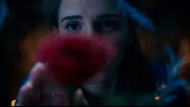 Screen-Shot-2016-07-07-at-9.28.41-AM-copy