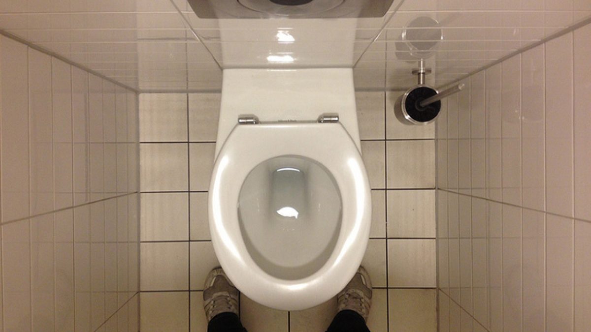 So, what exactly is the best position for pooping? Let's discuss