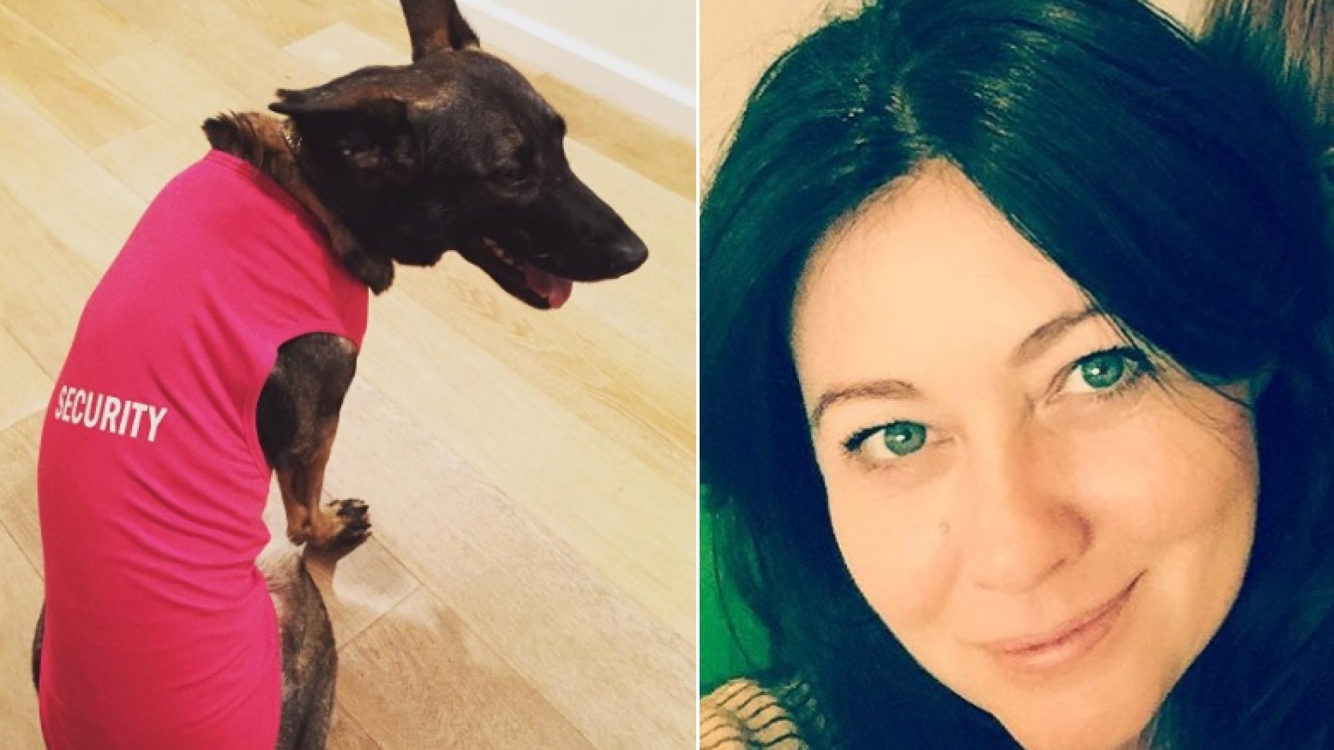 Shannen Doherty is pretty sure her dog knew about her cancer before