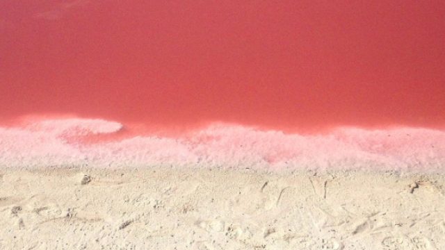 pink lagoon