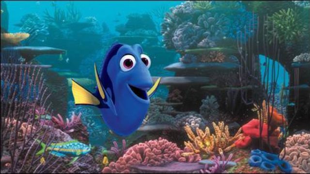 Dory