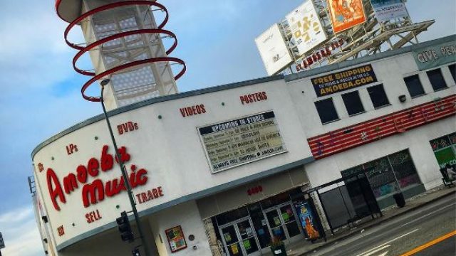 amoeba