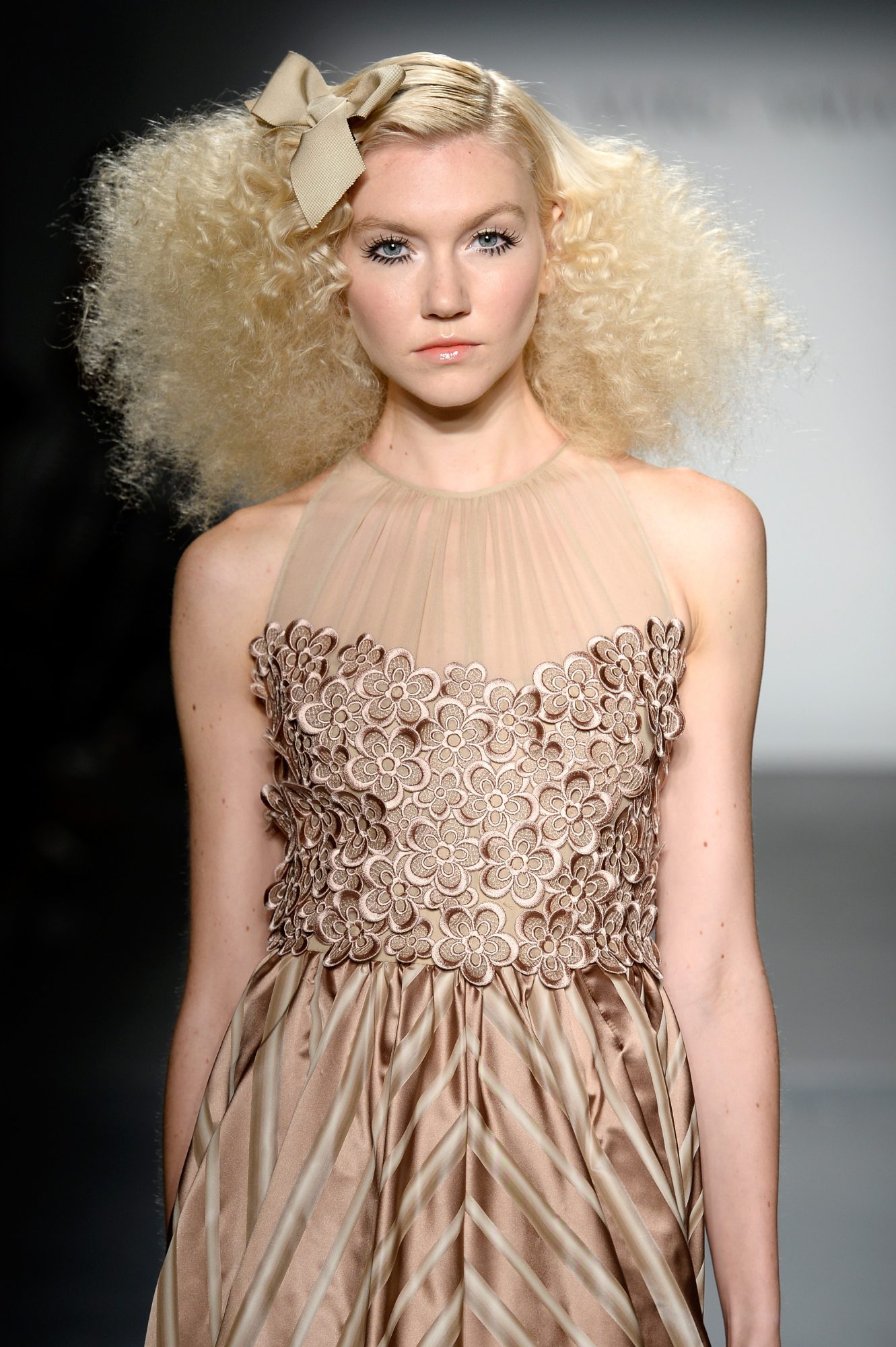 picture-of-nyfw-hair-frizz-photo.jpg