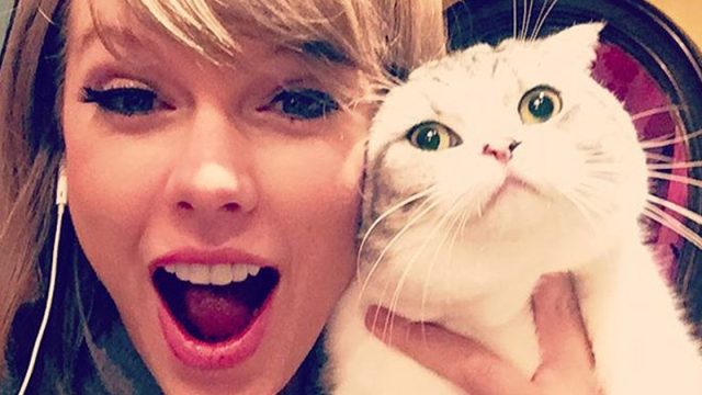 Taylor Swift