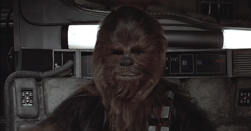 chewbacca.gif