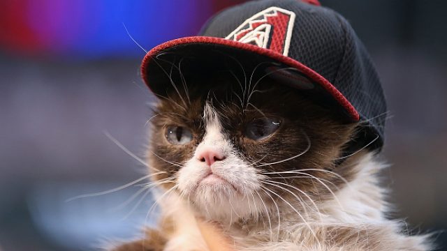 Colorado Rockies v Arizona Diamondbacks