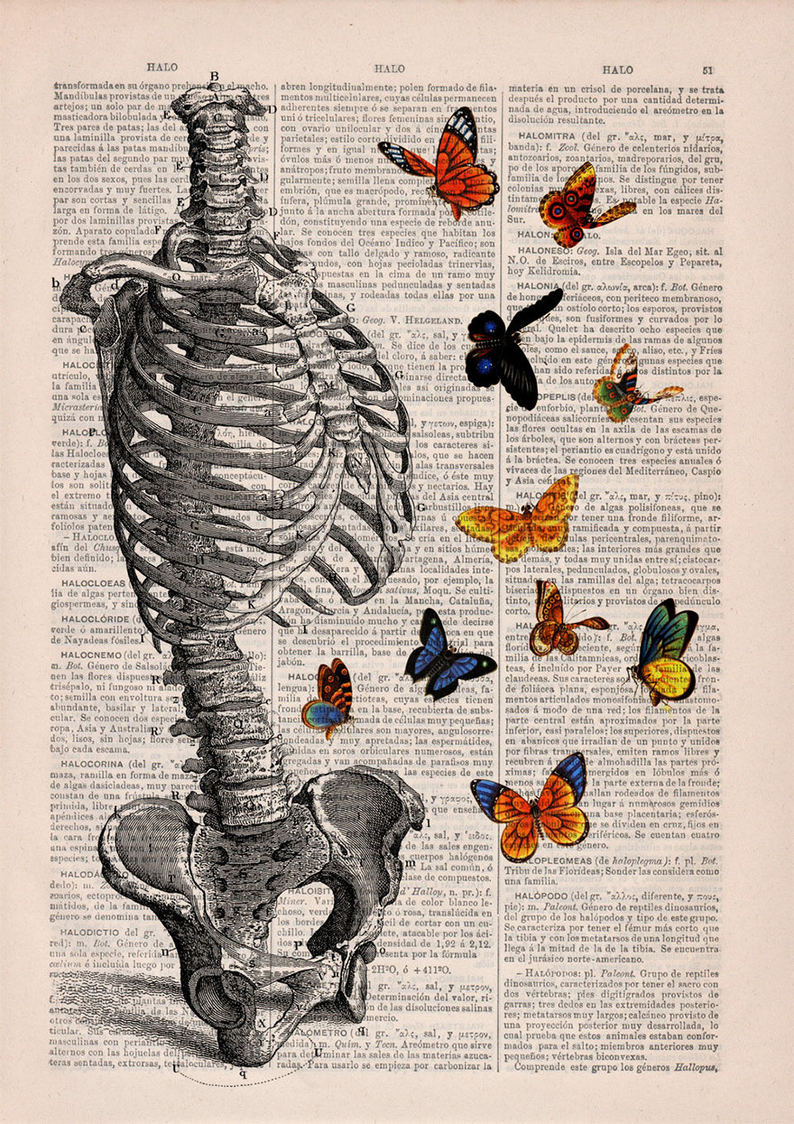 anatomy-illustrations-old-book-pages-prrint-18.jpg